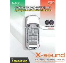 Combo A2 – Loa Mid-Treble STEG SFF1