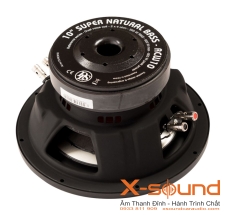 Loa Sub DLS RCW10 - Âm Trầm Chính Xác & Mạnh Mẽ Vượt Trội
