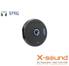 Loa Subwoofer STEG S10