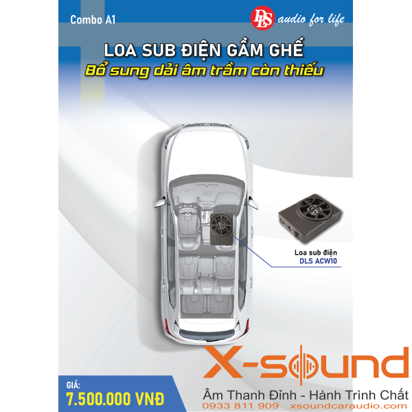 Combo A1 – Loa Sub Điện Gầm Ghế DLS ACW10