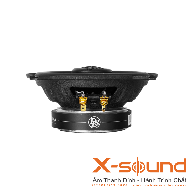 Loa DLS PA6.20 - Âm Thanh Cực Lớn, Hiệu Suất Vượt Trội