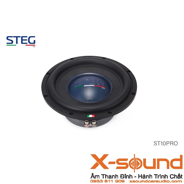 Loa Subwoofer STEG ST10 Pro