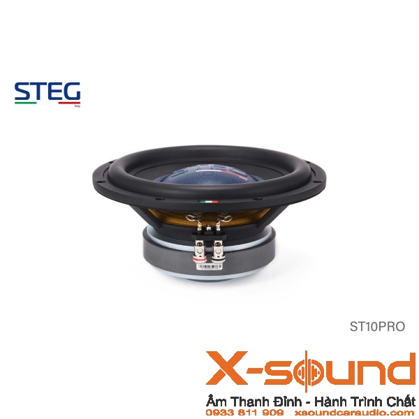 Loa Subwoofer STEG ST10 Pro