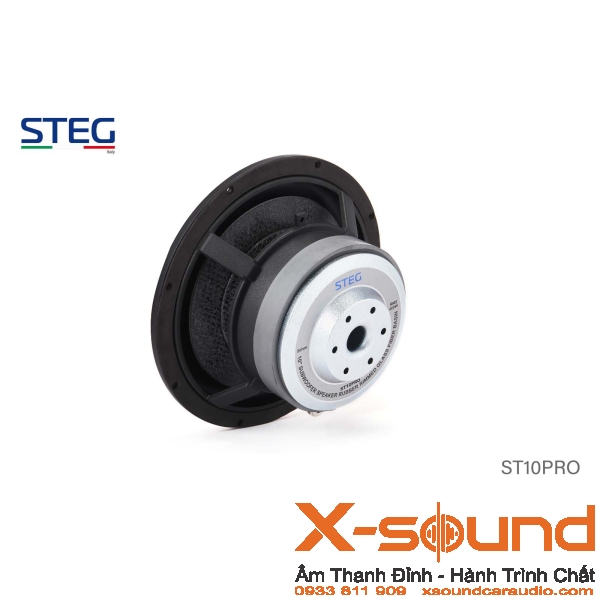 Loa Subwoofer STEG ST10 Pro