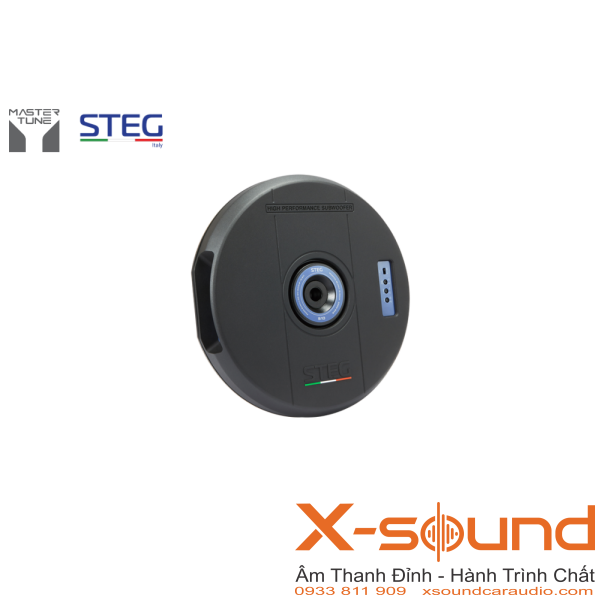 Loa Subwoofer STEG S10