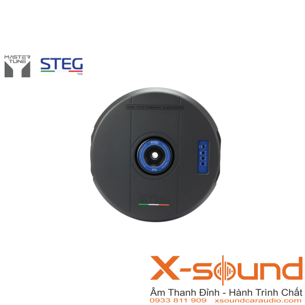 Loa Subwoofer STEG S10