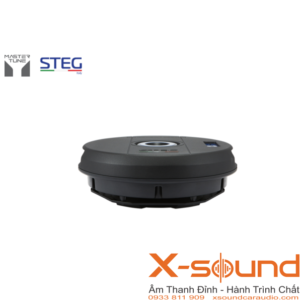 Loa Subwoofer STEG S10