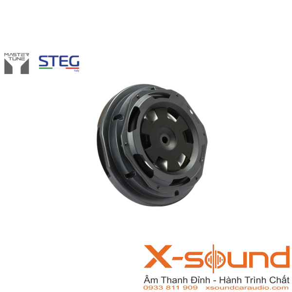 Loa Subwoofer STEG S10