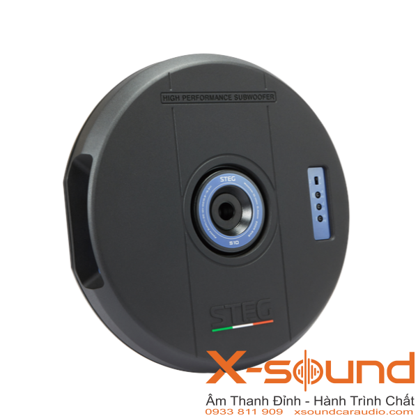 Loa Subwoofer STEG S10