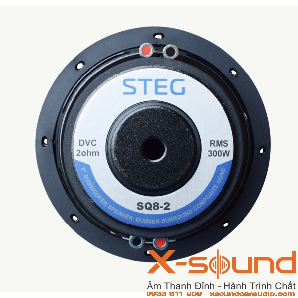 Loa Subwoofer STEG SQ8-2SE