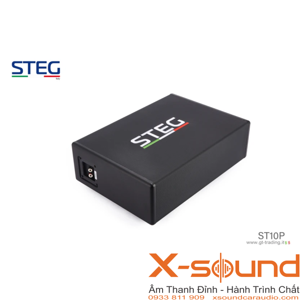 Loa Subwoofer STEG ST10P