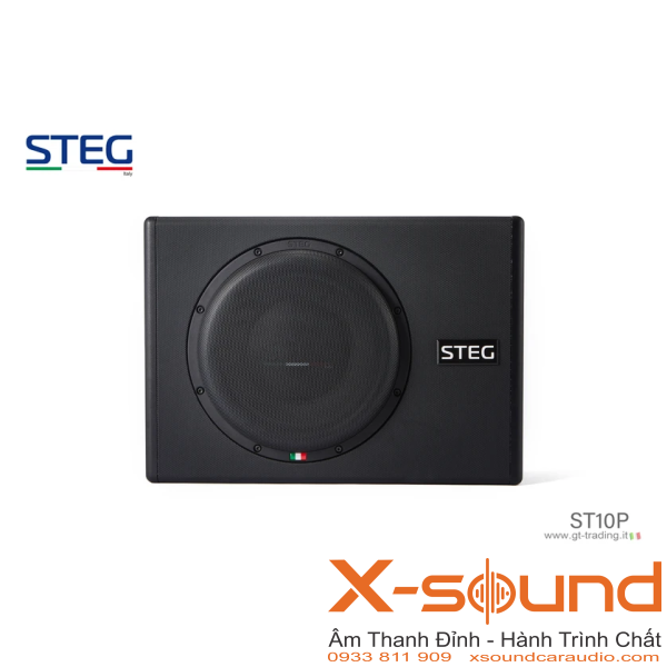Loa Subwoofer STEG ST10P