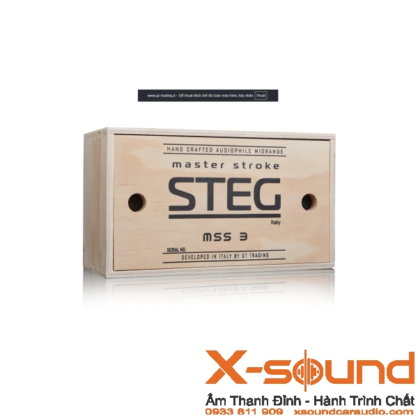 STEG MSS 1-3-6