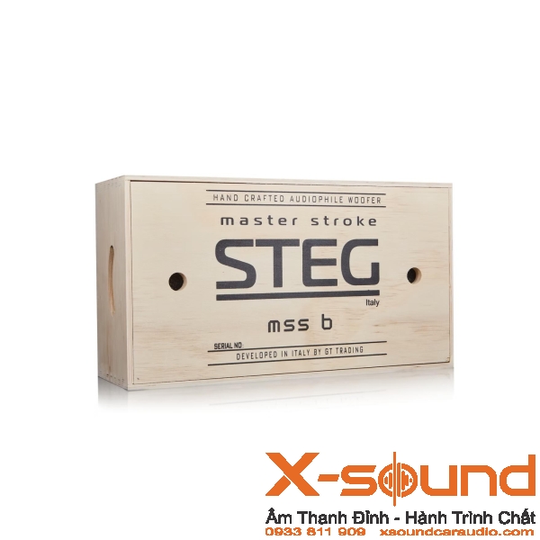 STEG MSS 1-3-6