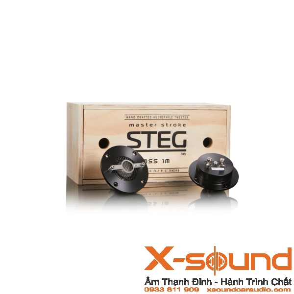 STEG MSS 1-3-6