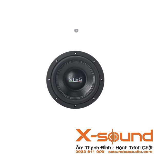 Loa Subwoofer STEG S8