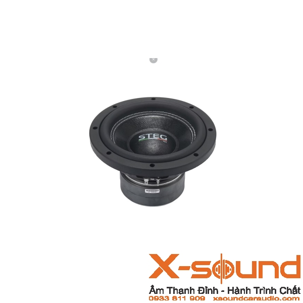 Loa Subwoofer STEG S8