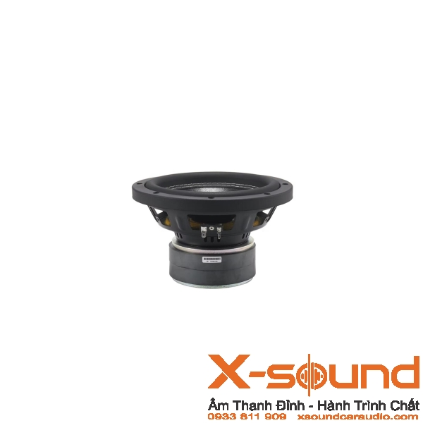 Loa Subwoofer STEG S8