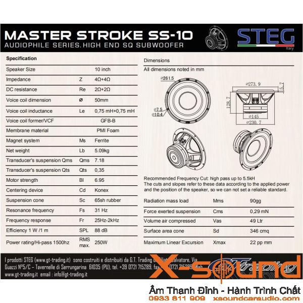 Loa Subwoofer STEG SS10
