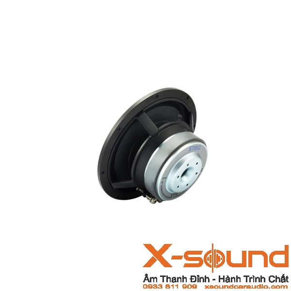 Loa Subwoofer STEG ST10